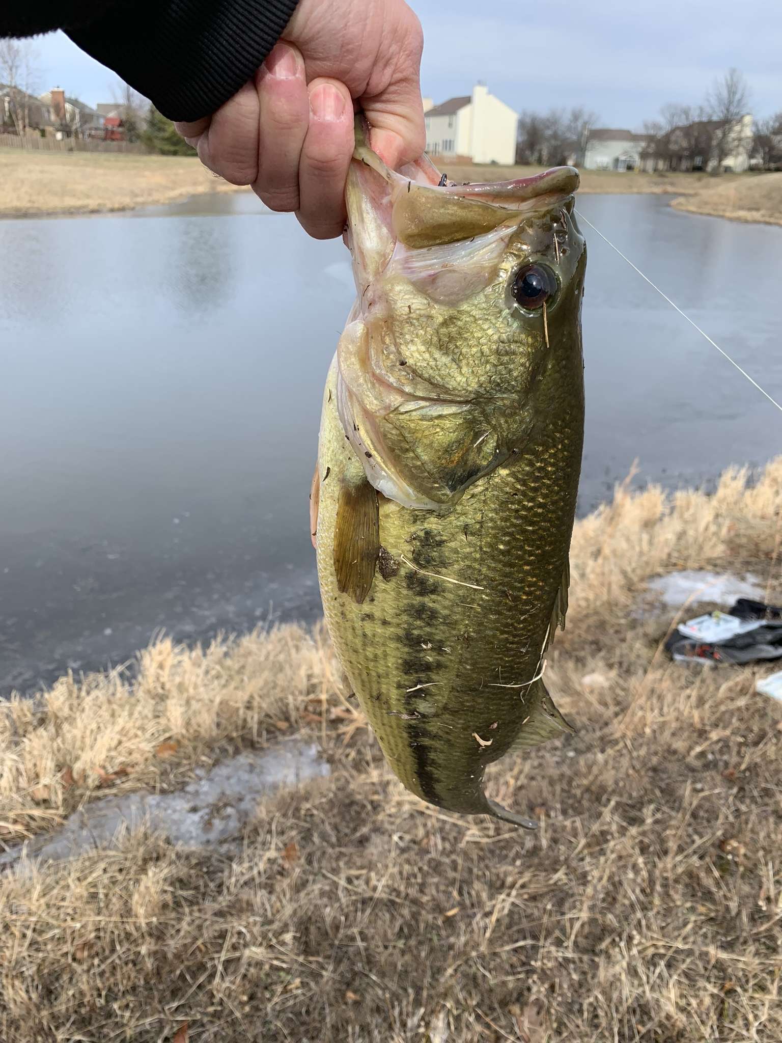 Pond winter bass - Fishing Tackle - Bass Fishing Forums