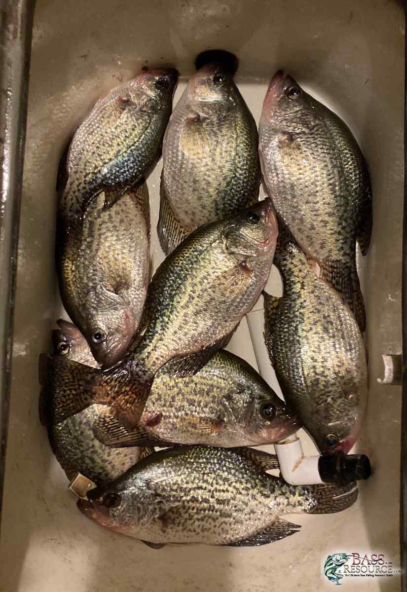 TnRiver46