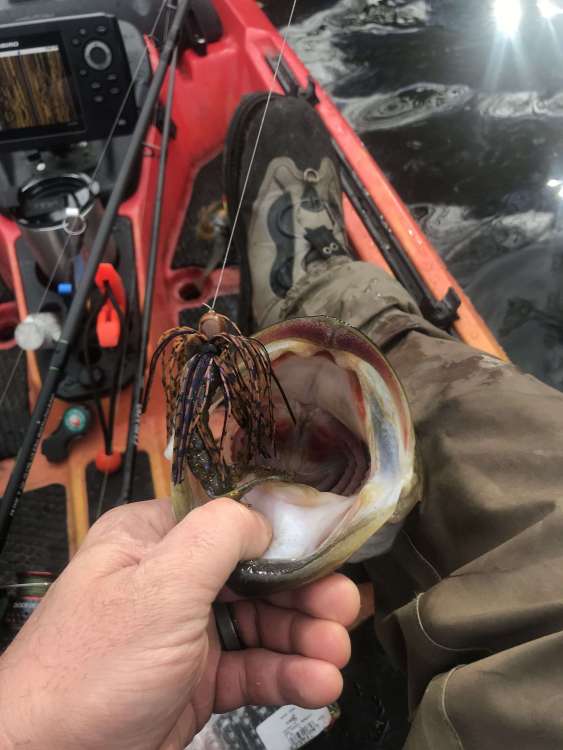12_31_19 fish2.jpg