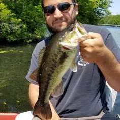 Find Grass, Throw THIS Worm, & Catch Bass! (Summer Bank Fishing