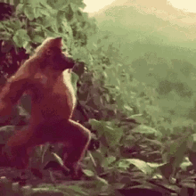 image.gif.34428bf2c214372ba46d1b7e881741bb.gif