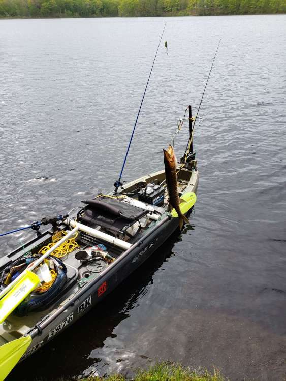 kayak.jpg