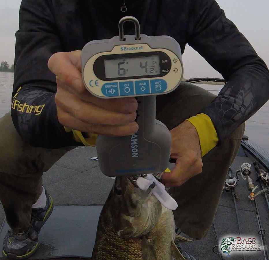 Major League Fishing Scales - Fishing Tackle - Bass Fishing Forums