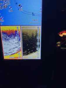 431E28F5-6FD1-465A-B0B2-1198DA075976.jpeg