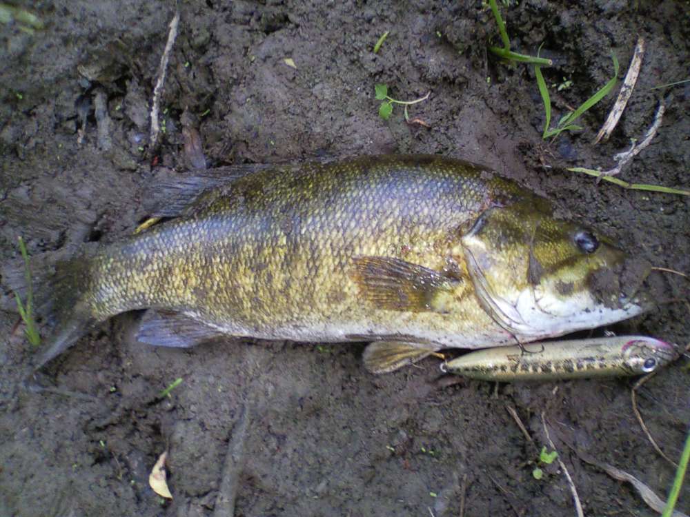 0715122035.jpg