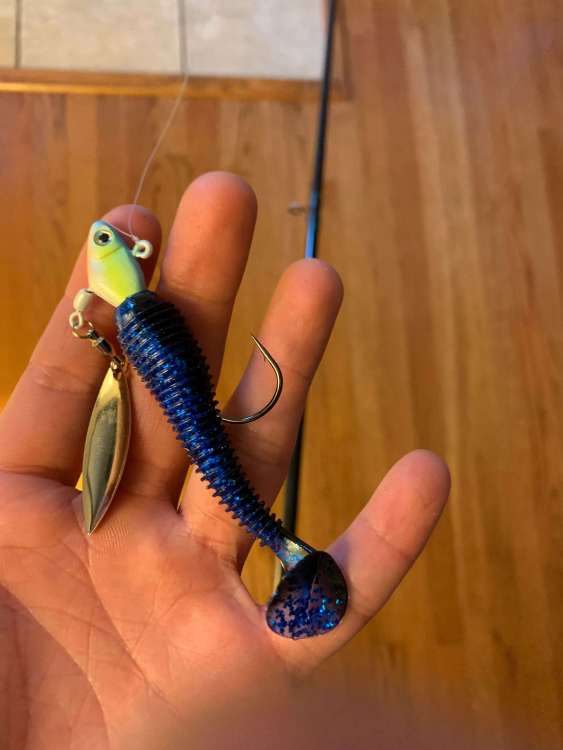 muddywater swimbait.jpg