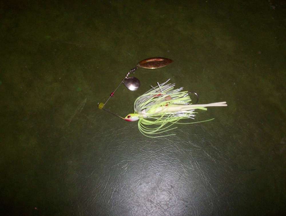 Fuel Line on Spinnerbait_100_2058.JPG