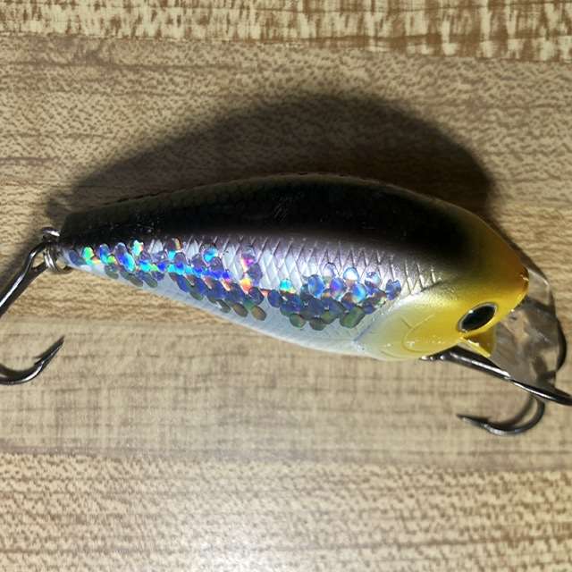 Crankbait Finish Protection? - Tacklemaking - Bass Fishing Forums
