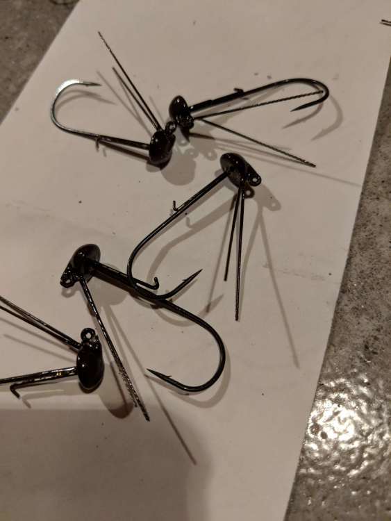 MVIMG_20191021_060510.jpg