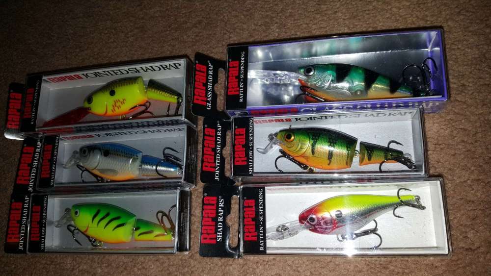 baits2.thumb.jpg.aa8d71494eccaec23b99ea139ed55a20.jpg