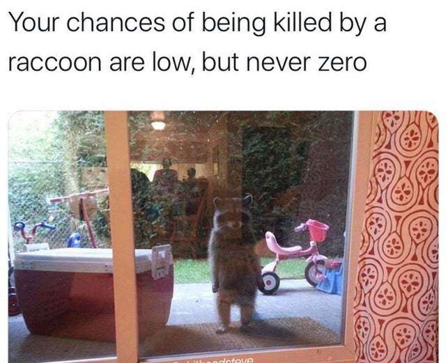 image.jpeg.fcbabb8ede95d755da33c3269f5bca98.jpeg