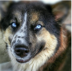 image.png.29ce951d52db61f6ff337ecaabe3813f.png