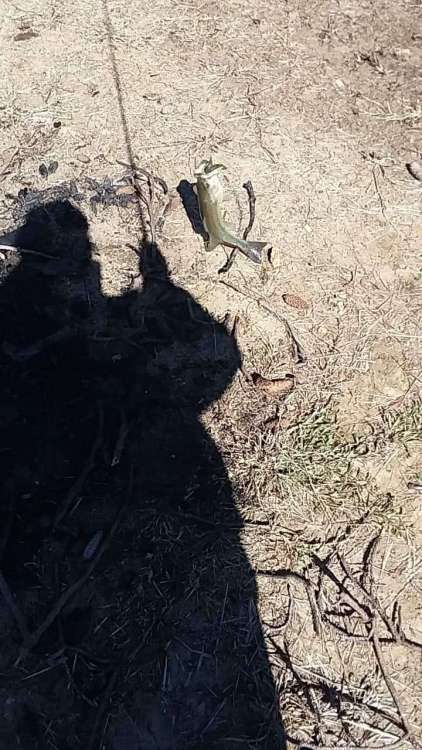 received_2678287792278858.jpeg