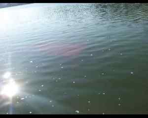 1874668E-1002-4FAE-AA37-6E1290717001.jpeg