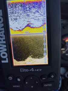 1D482302-80BC-4AE9-BD46-DF2895CCCCED.jpeg