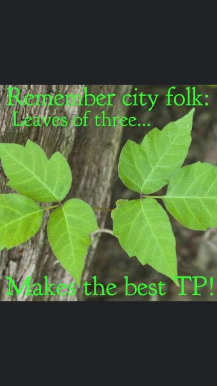0218AC63-9504-416C-935B-194EB0BC350A.jpeg