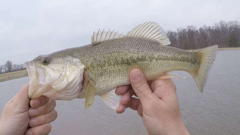 1743619206_5-3-9-20.thumb.jpg.0772c2cf27c60e4d519379d80bb297e6.jpg