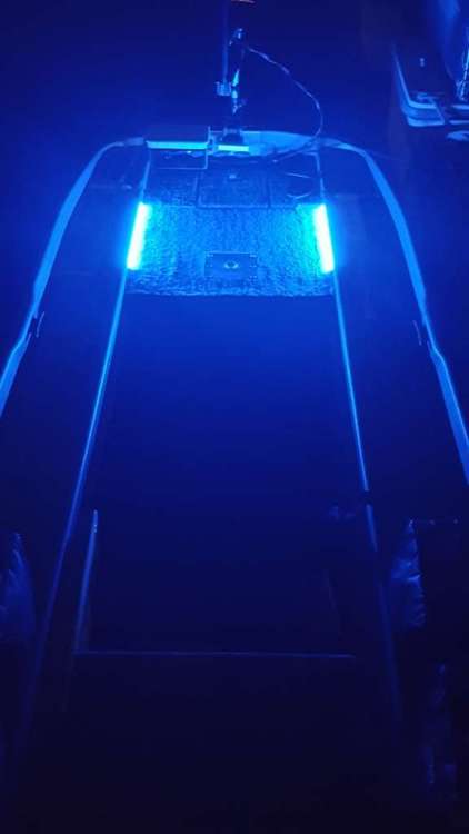 20200321_055612 (576x1024).jpg