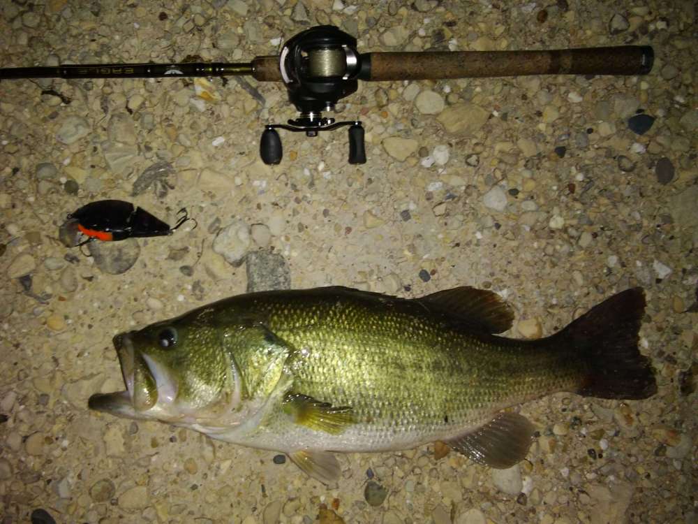 20181103_191148.jpg