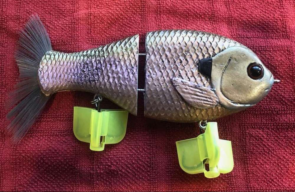 bull gill glide.jpg