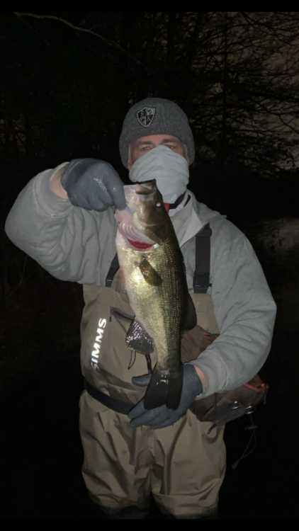 trout nt 1.png