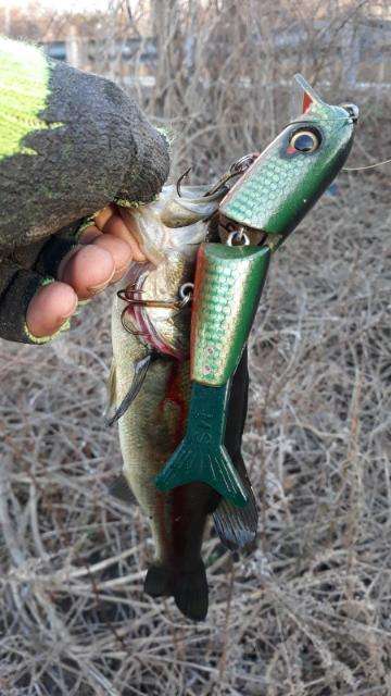Beginner with swimbaits with a new 795SB rod, $100 to spend on swimbaits..  - Page 2 - Fishing Tackle - Bass Fishing Forums