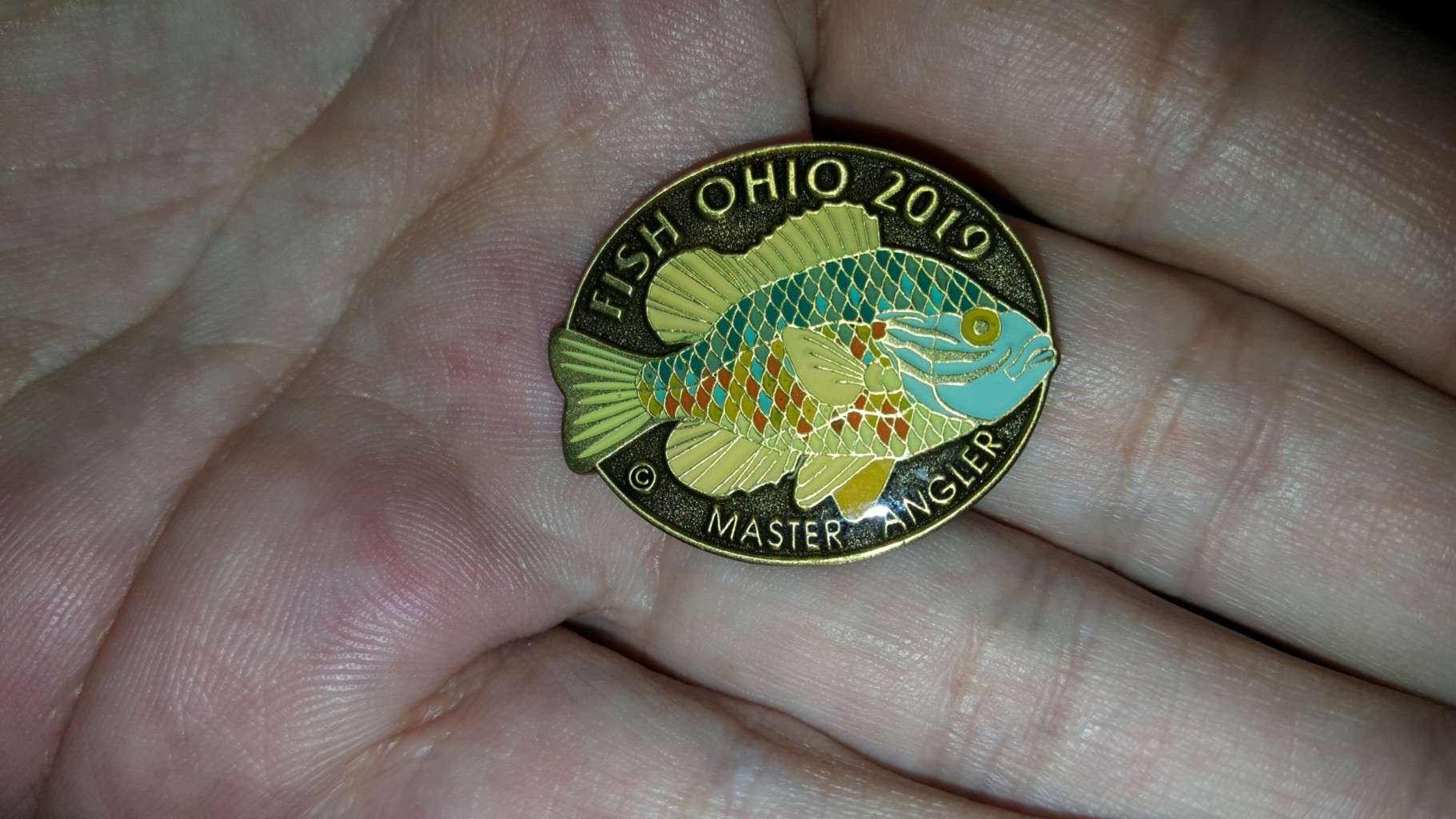 Does your State have a program like the Fish Ohio Recognition Program -  General Bass Fishing Forum - Bass Fishing Forums