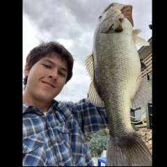 Evan Lip Ripper
