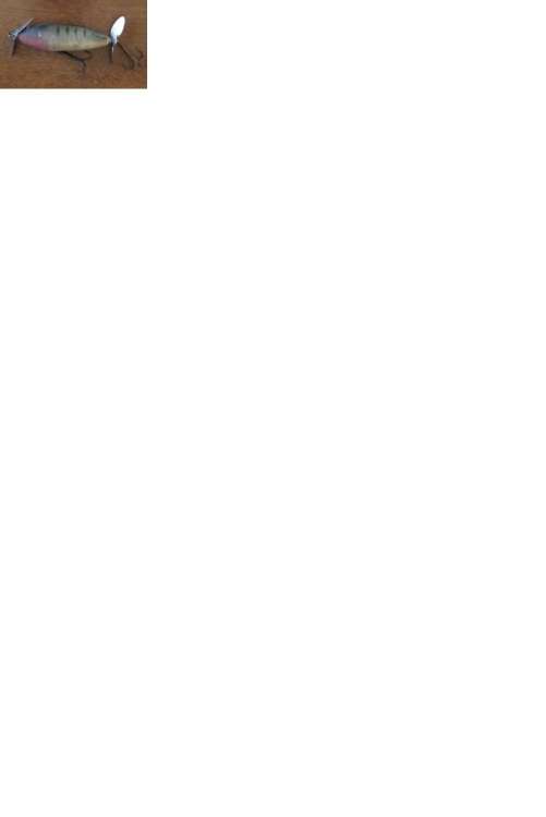 Unkown_Lure.thumb.jpeg.3f3efbdd9b94f5a93737315a96a659e7.jpeg