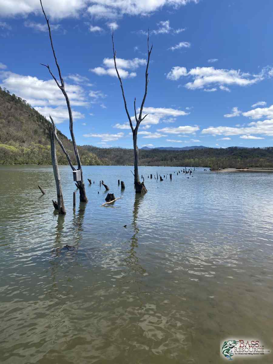 A88F5E52-B6DC-4102-841E-48387C407E1C.jpeg