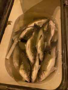 1FDA996A-C6D4-4D74-A996-D686CF0C34A7.jpeg