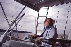 Boat Monkey.jpg