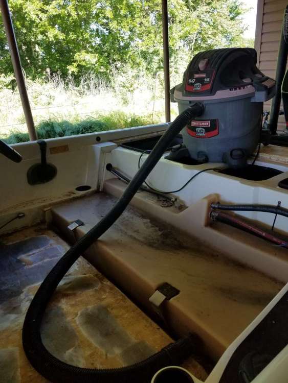 carpet project 7.jpg