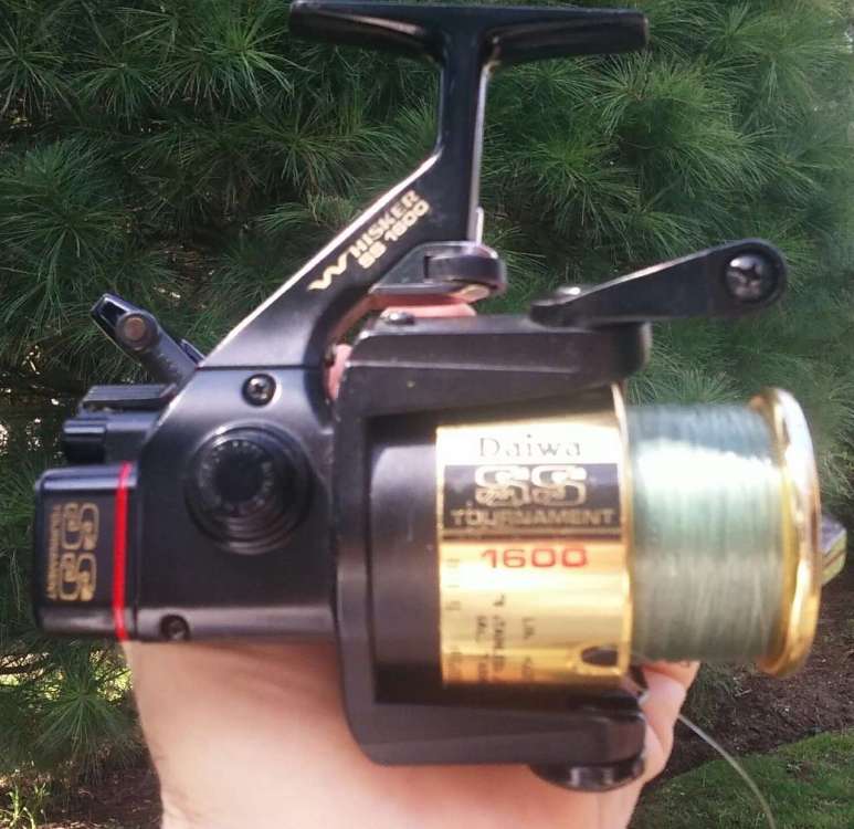 SS1600 - Copy.jpg
