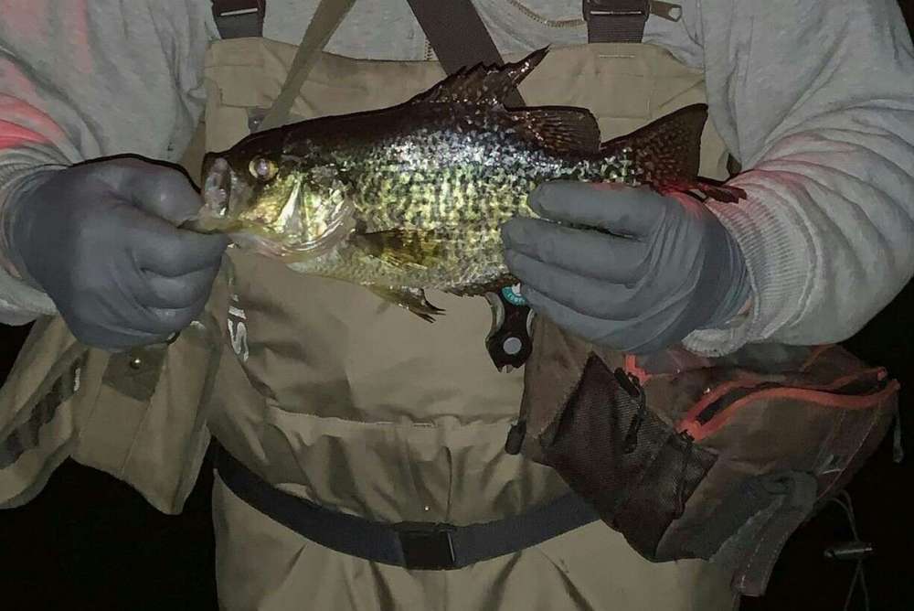xxcrappie - Copy.jpg