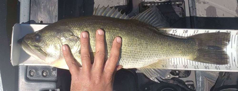 20_25.thumb.jpg.61dd54d255e6f0fa3ab24e319fd84094.jpg