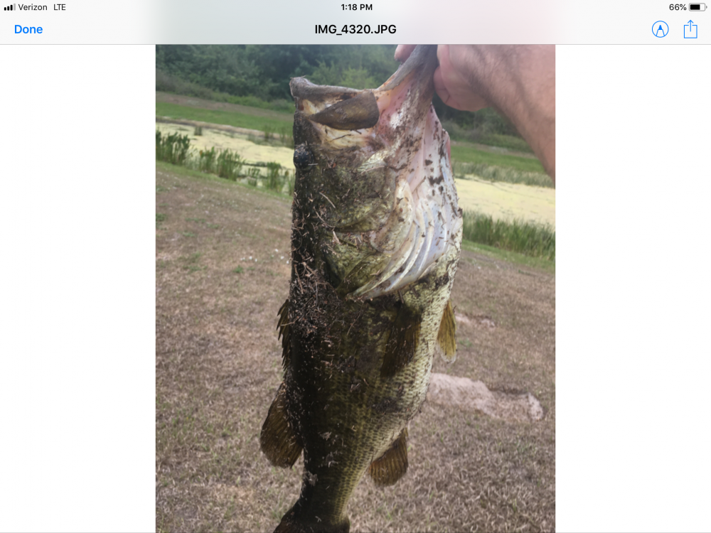 A69A4AD2-5316-4DF2-9D01-2DDB688F8063.thumb.png.d3983b116e109b7b0f69d3d39b06c943.png