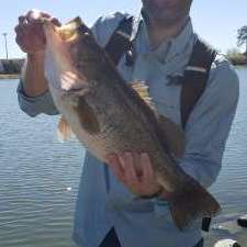 t_bone_713