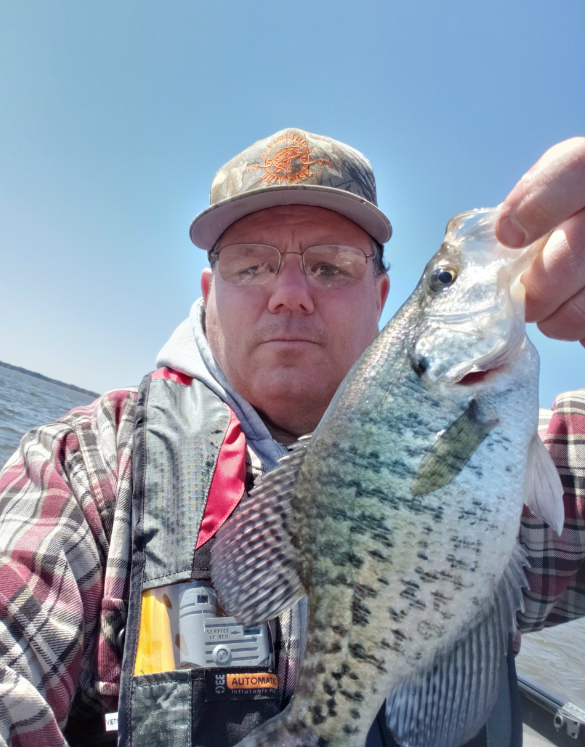 crappie.PNG.f78df62904ad33d532e20c3e8566ab4f.PNG
