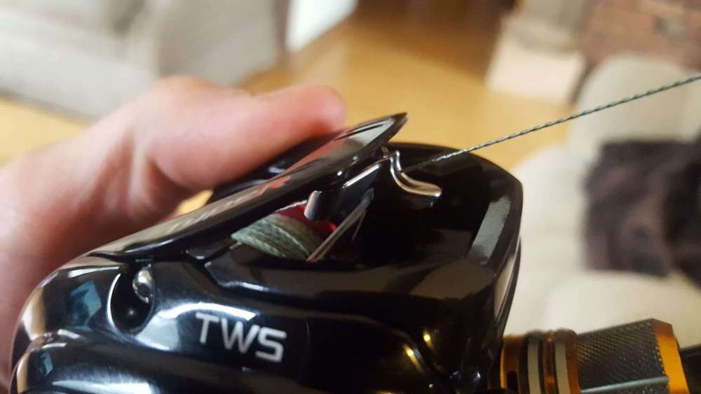 twing.thumb.jpg.f1020d89f52f3a507db0093ea628382b.jpg