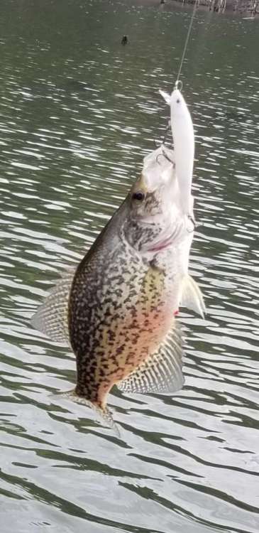 20200514_155720.jpg