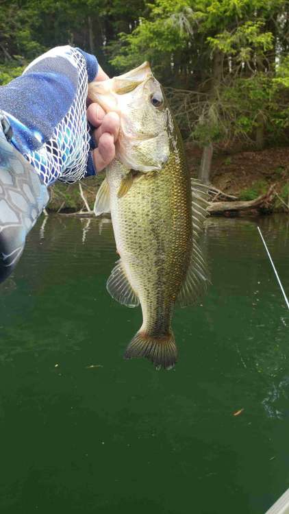 20200527_102423_compress29.jpg