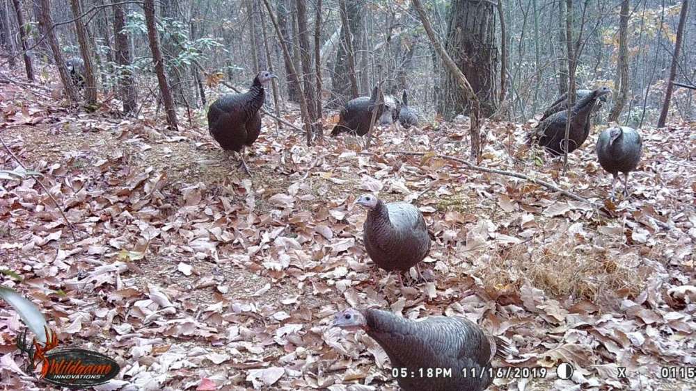 Resized_WGI_0115_172172820539199.jpeg