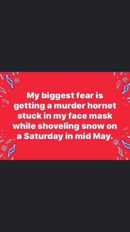 image.thumb.jpeg.95d6d07f58c5b3c1b9f7e8d15653f7a3.jpeg
