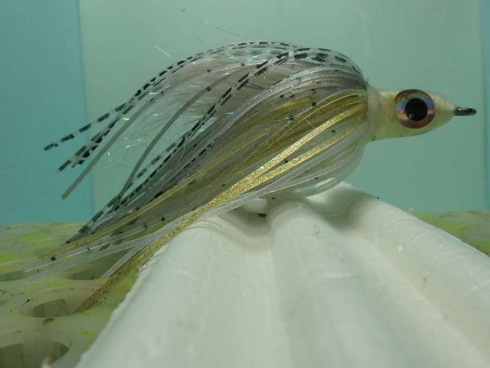 shiner G 320.jpg