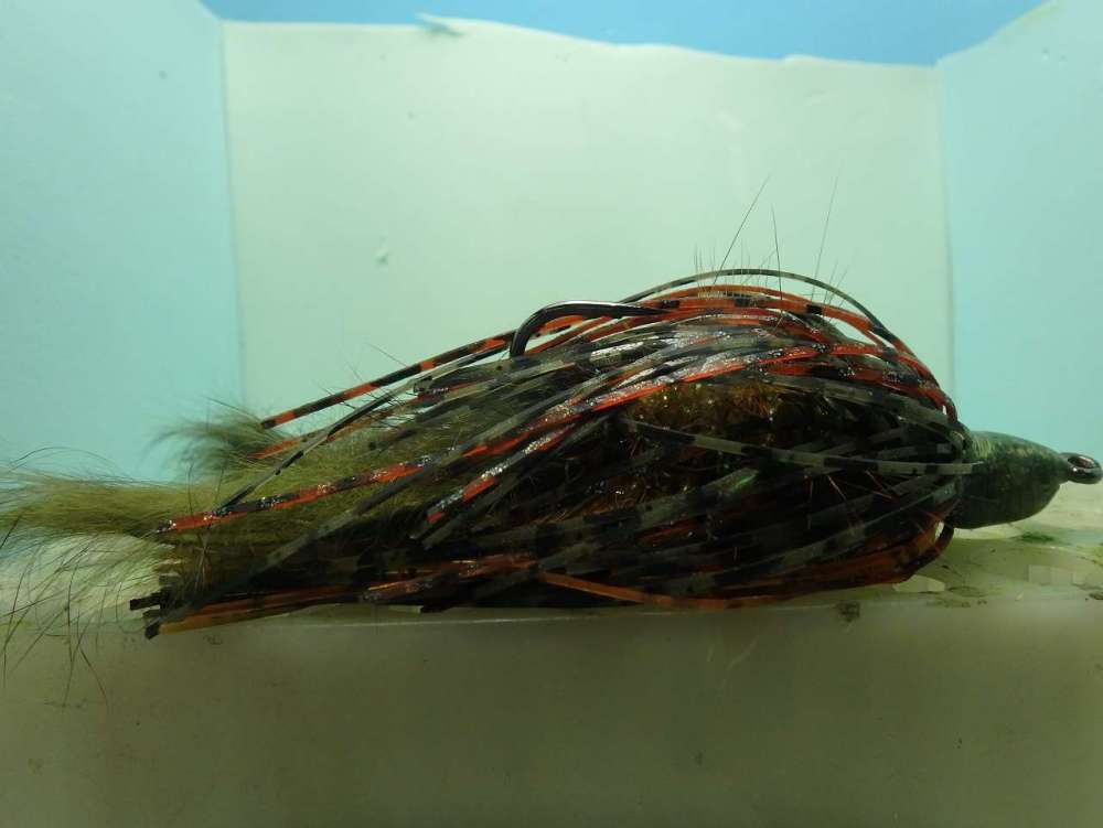 swimming crayfish 320.jpg