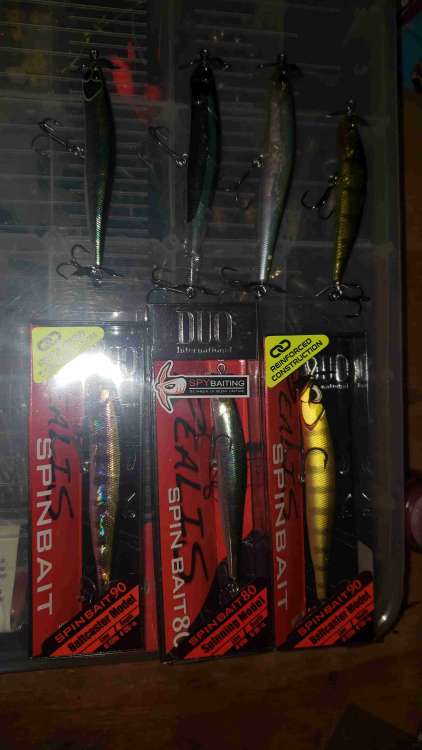 20200626_164506_compress94.jpg