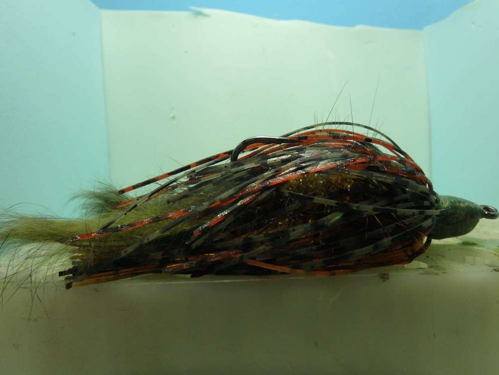 swimming crayfish.JPG