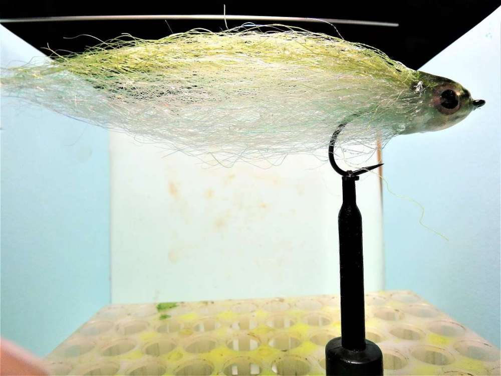 bait fish 300.jpg
