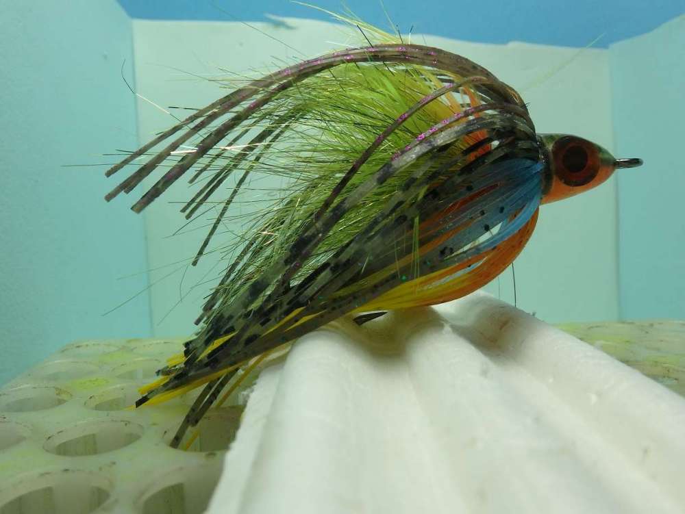 sunfish 320.jpg